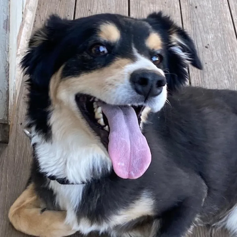 Littleman thumbnail 3