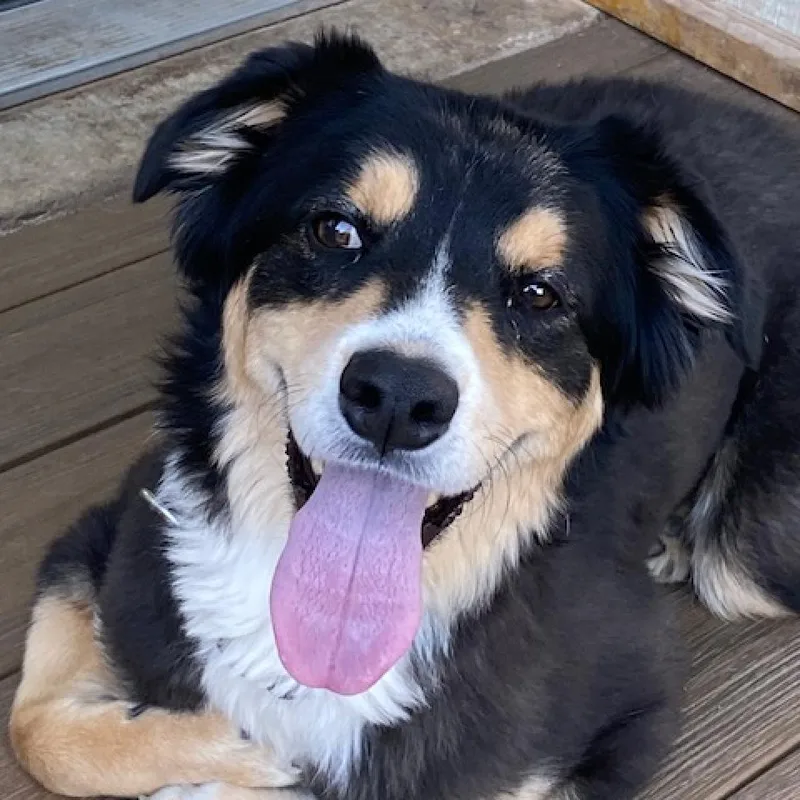 Littleman thumbnail 4