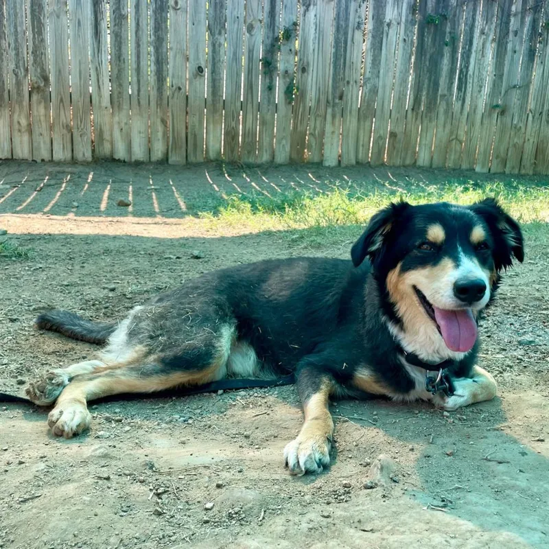 Littleman thumbnail 5