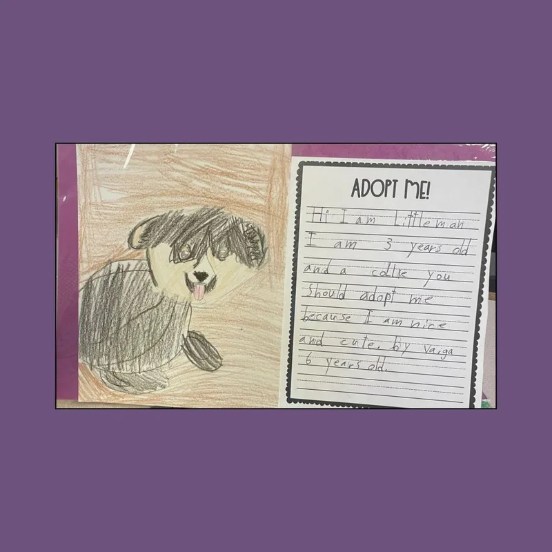 Littleman thumbnail 6