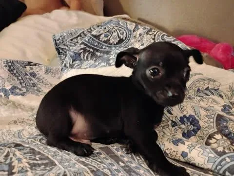 Nolan Legacy thumbnail 2