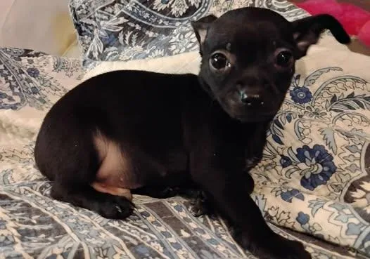 Nolan Legacy thumbnail 4