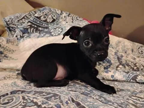 Nolan Legacy thumbnail 5