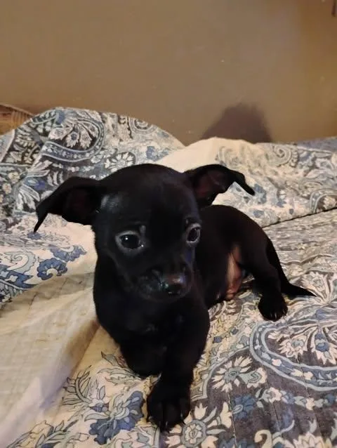 Nolan Legacy thumbnail 6