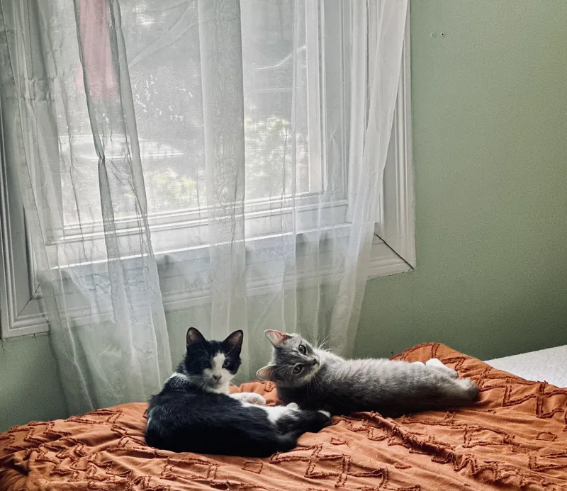 Tully And Wyn thumbnail 2