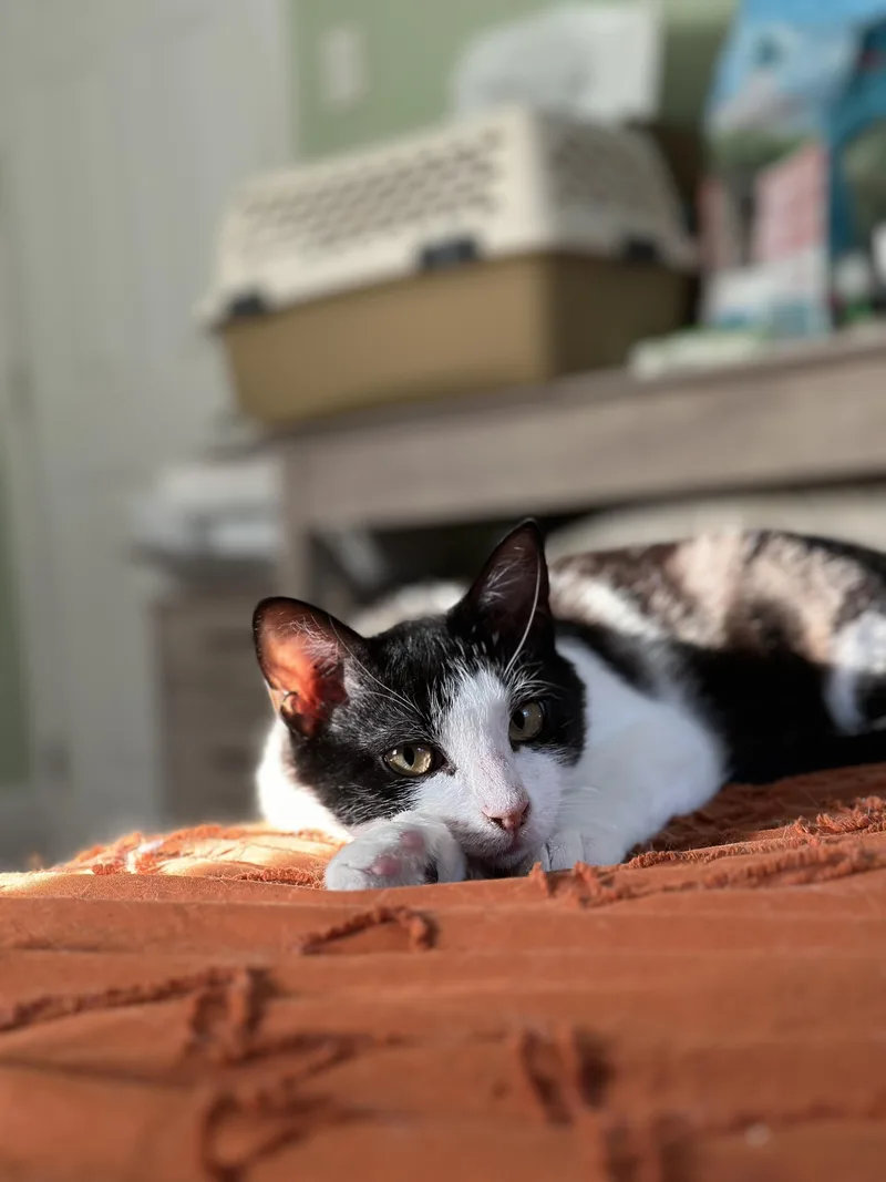 Tully And Wyn thumbnail 4