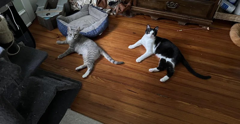 Tully And Wyn thumbnail 5