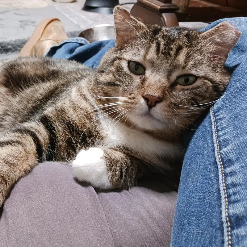 Gunnar Fiv+ thumbnail 3