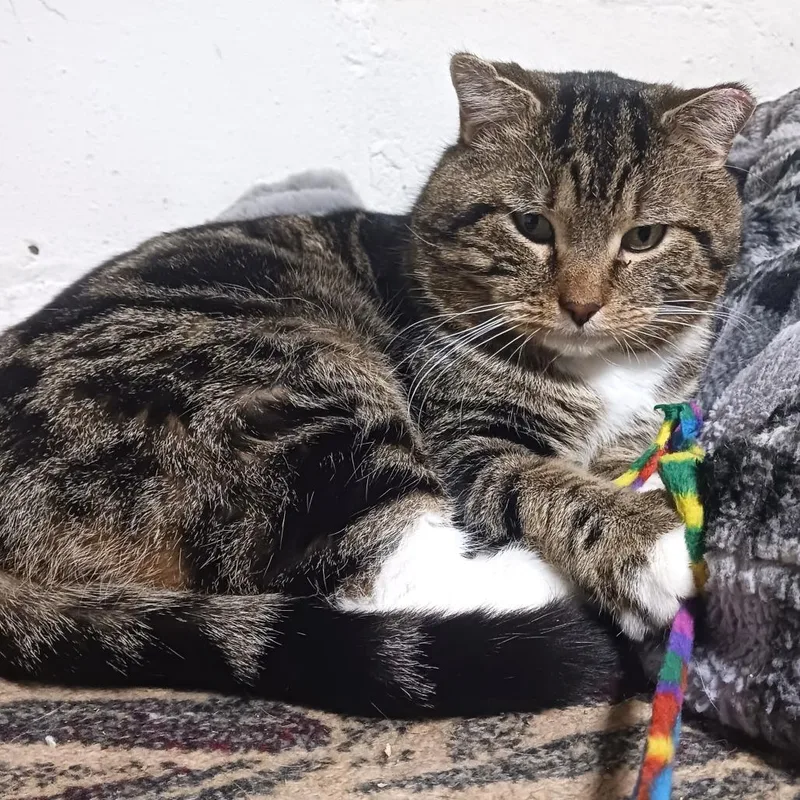 Gunnar Fiv+ thumbnail 4