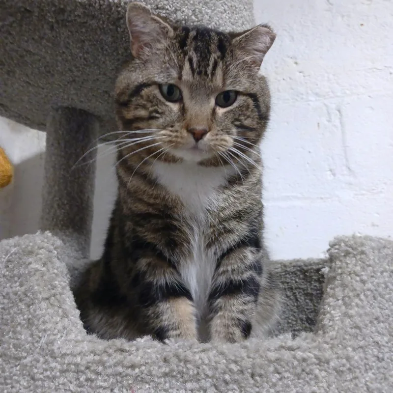 Gunnar Fiv+ thumbnail 6