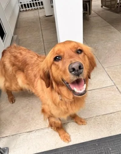 Emma thumbnail 3