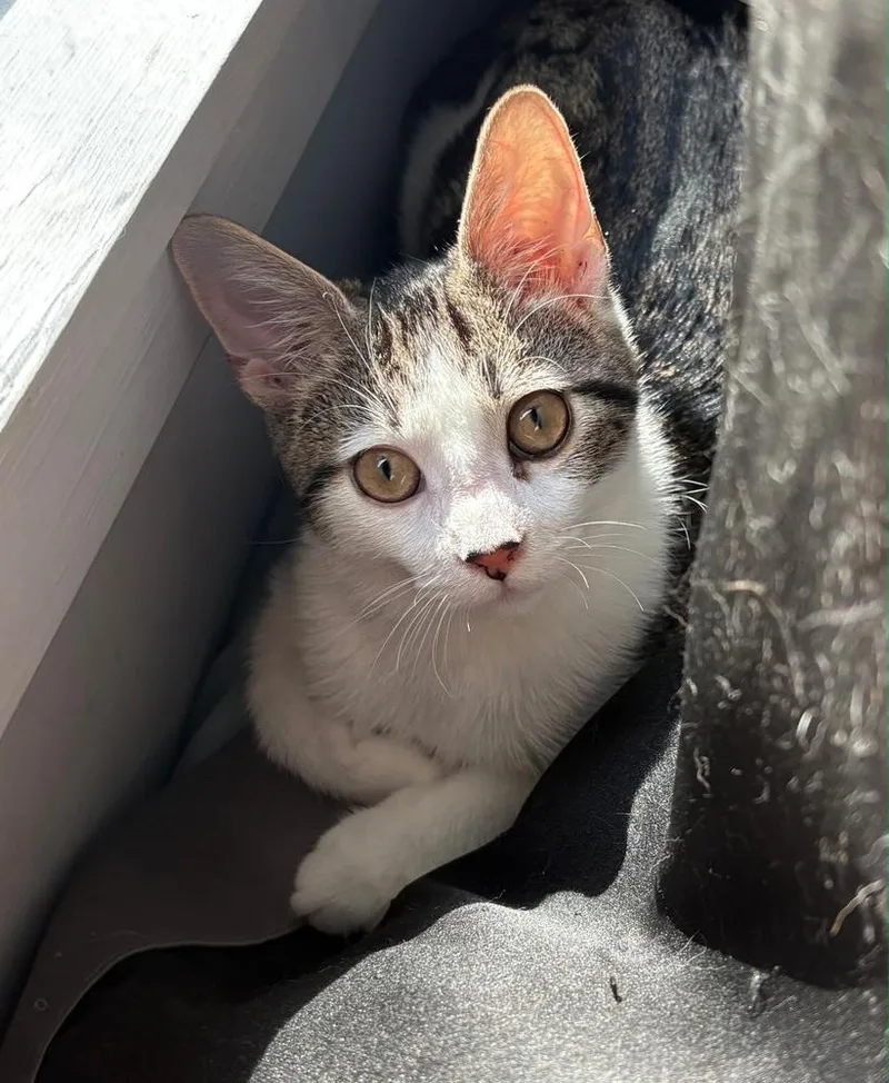 Matty Matters thumbnail 2