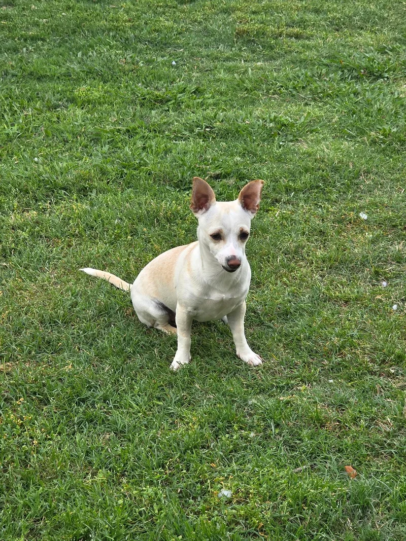 Jupiter & Luna thumbnail 2