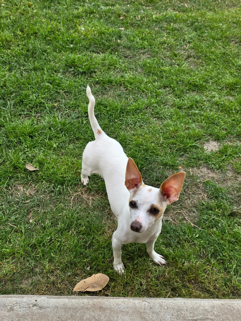 Jupiter & Luna thumbnail 3