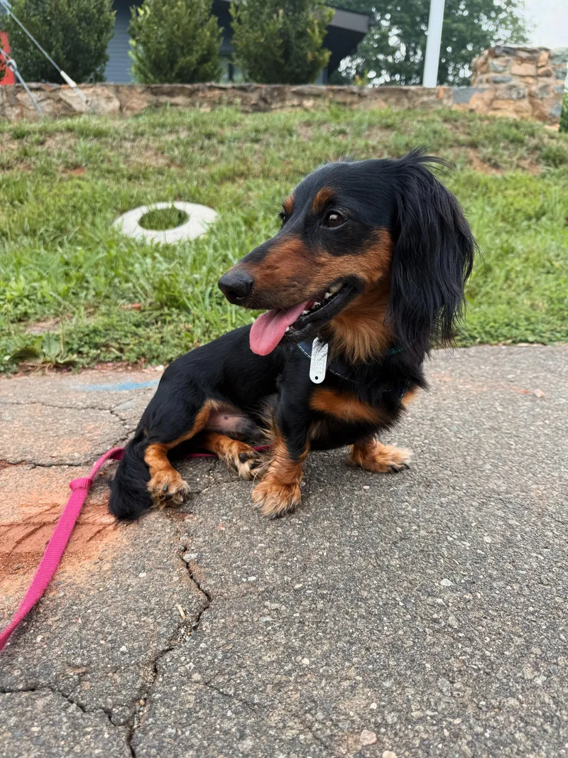 Milo
