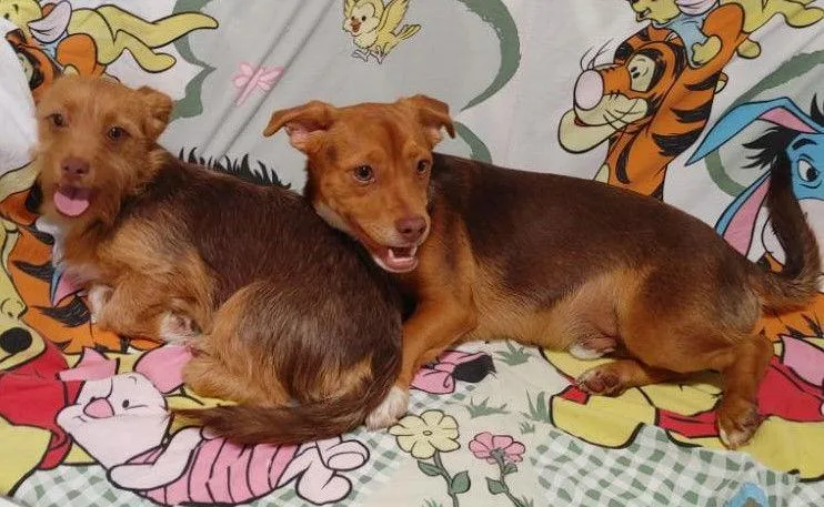 Cimba Needs To Go thumbnail 2