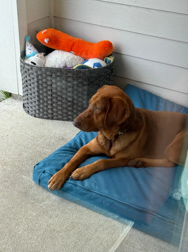 Butch Jr. thumbnail 2