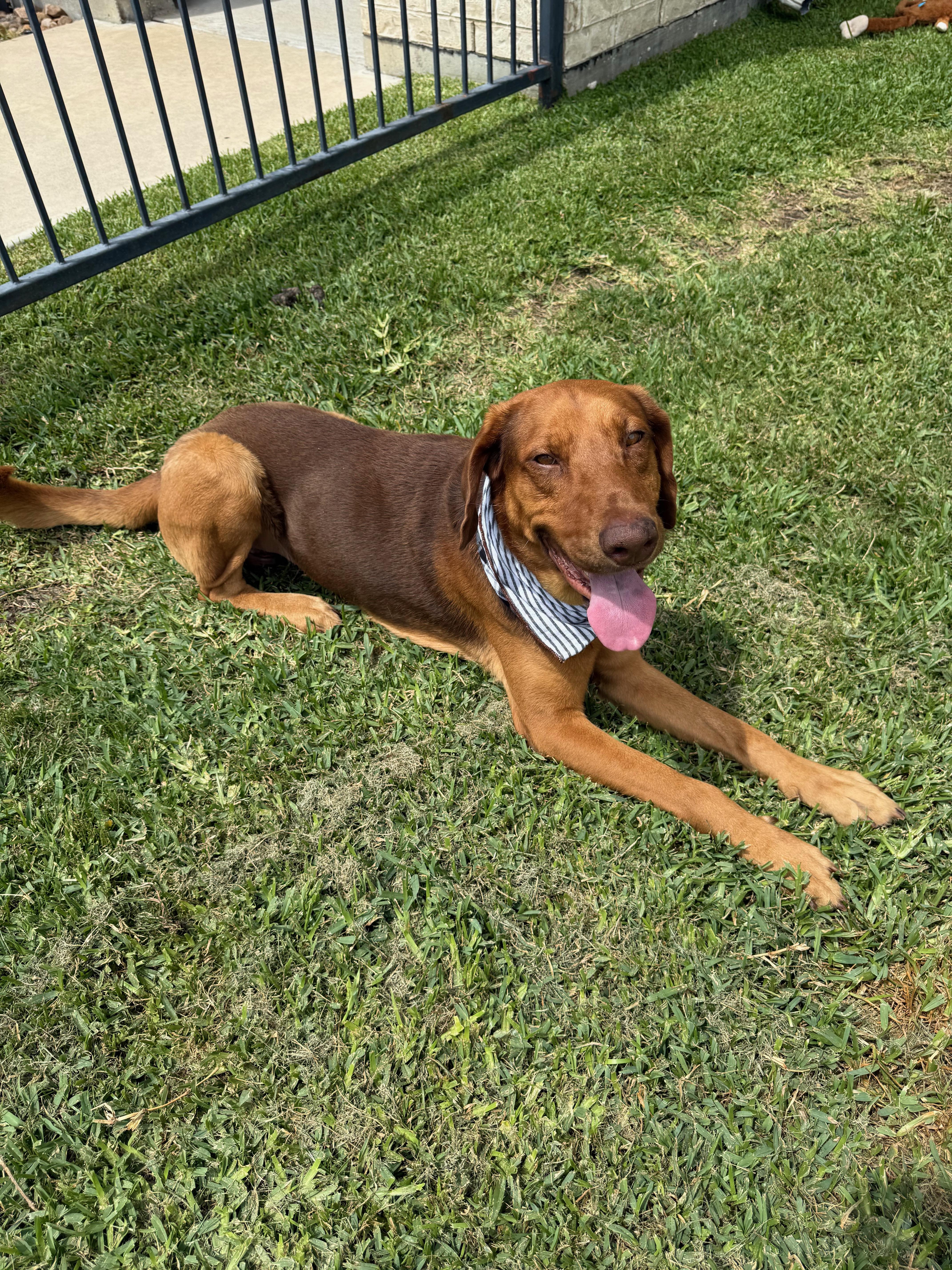 Butch Jr. thumbnail 4