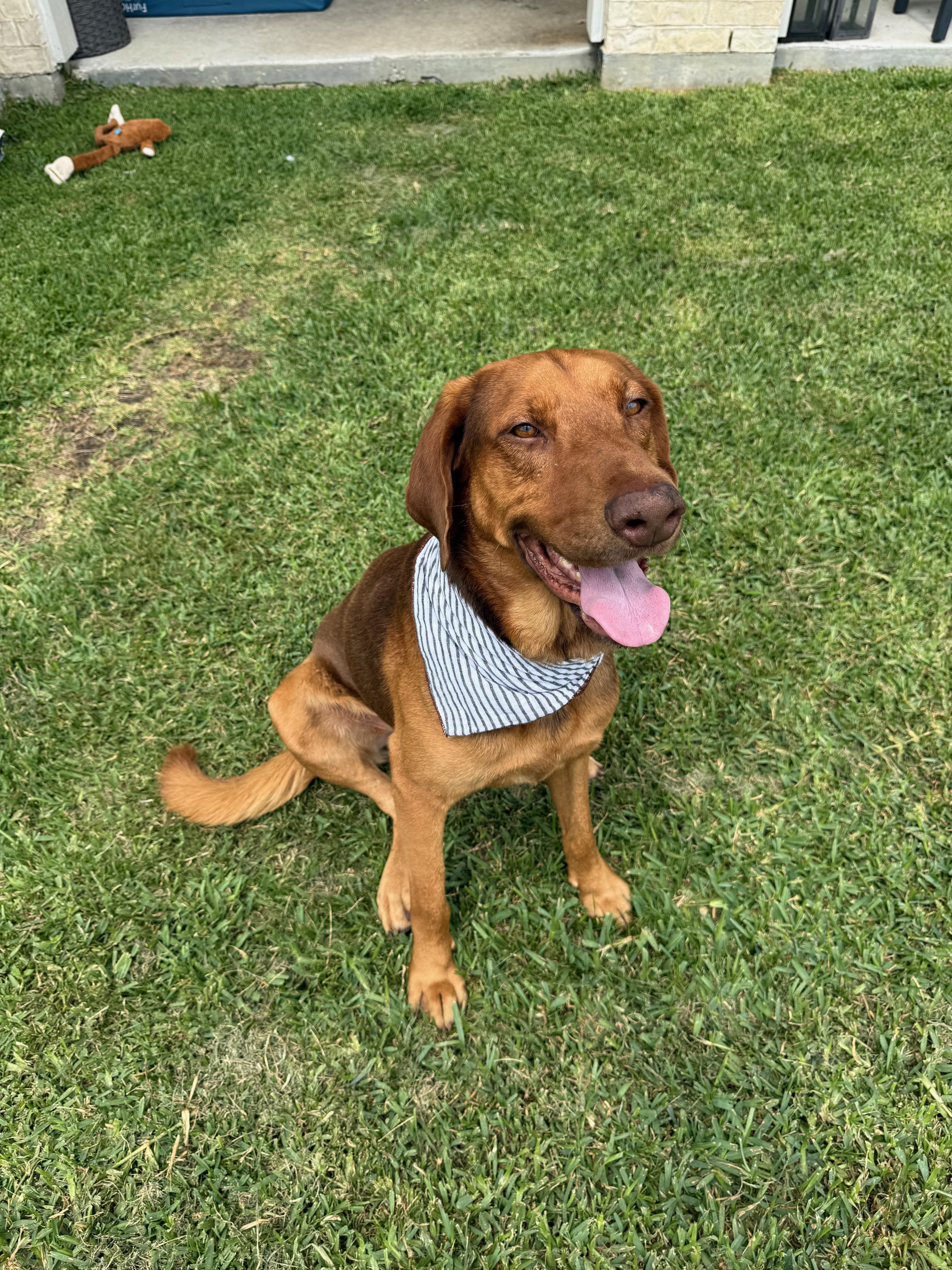 Butch Jr. thumbnail 5