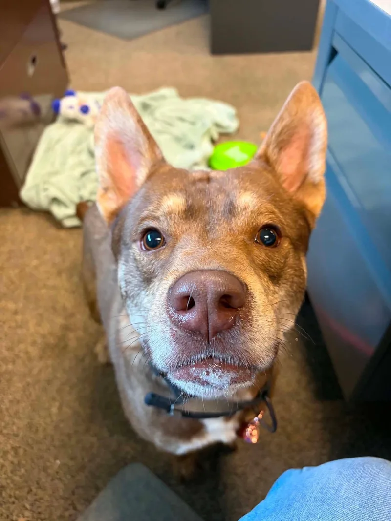 Tater