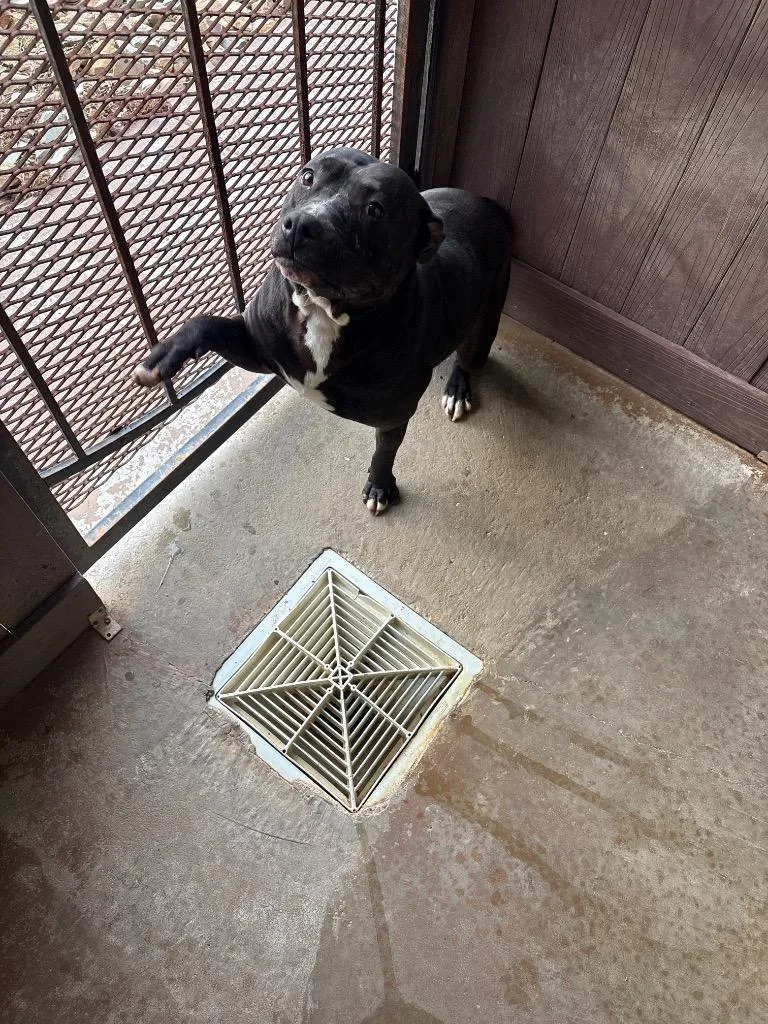 Pajama Princess thumbnail 2