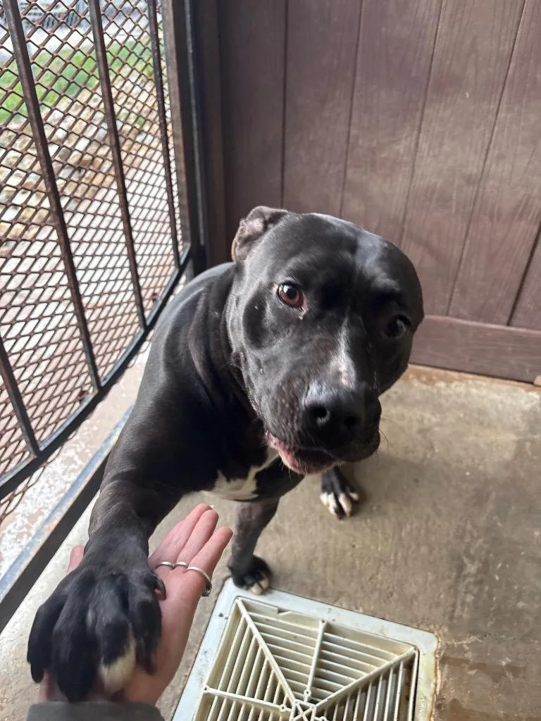 Pajama Princess thumbnail 3