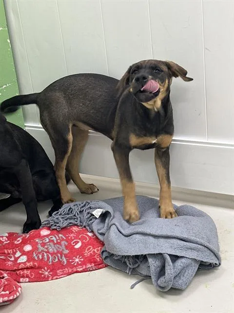 Sabrina The Teenage Witch