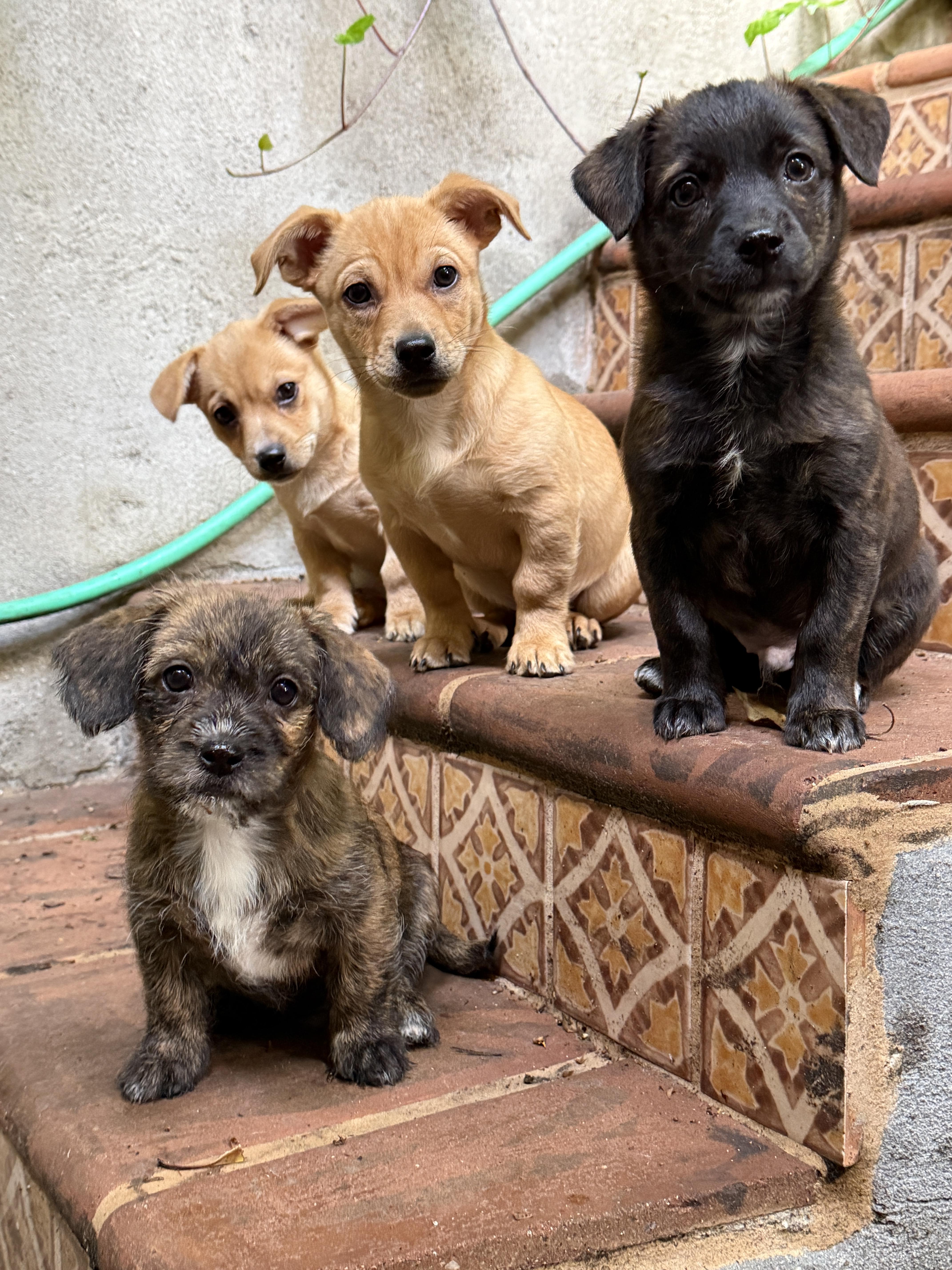 Brodie And Conrad thumbnail 2