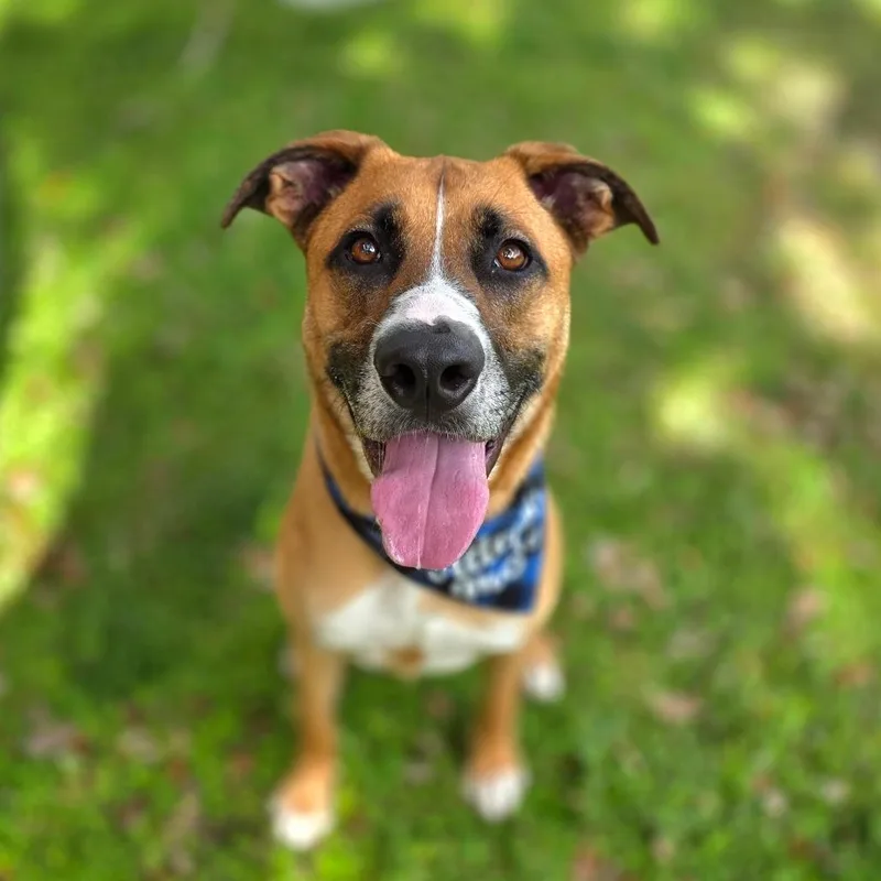 Arlo