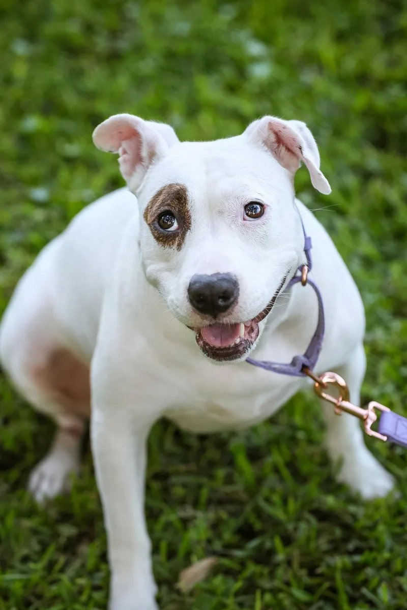 June Bug thumbnail 2