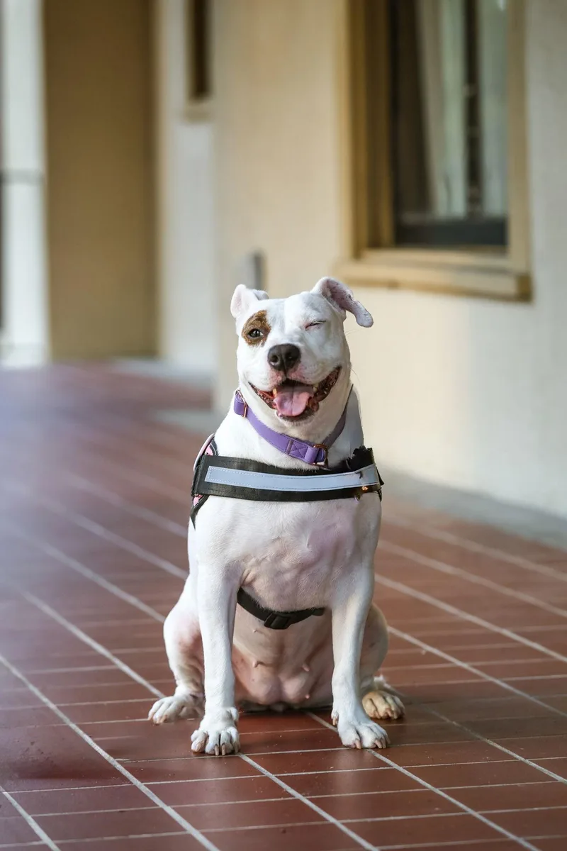 June Bug thumbnail 3