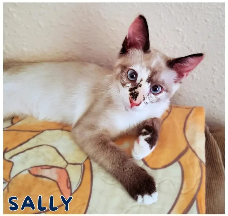 Sally thumbnail 3