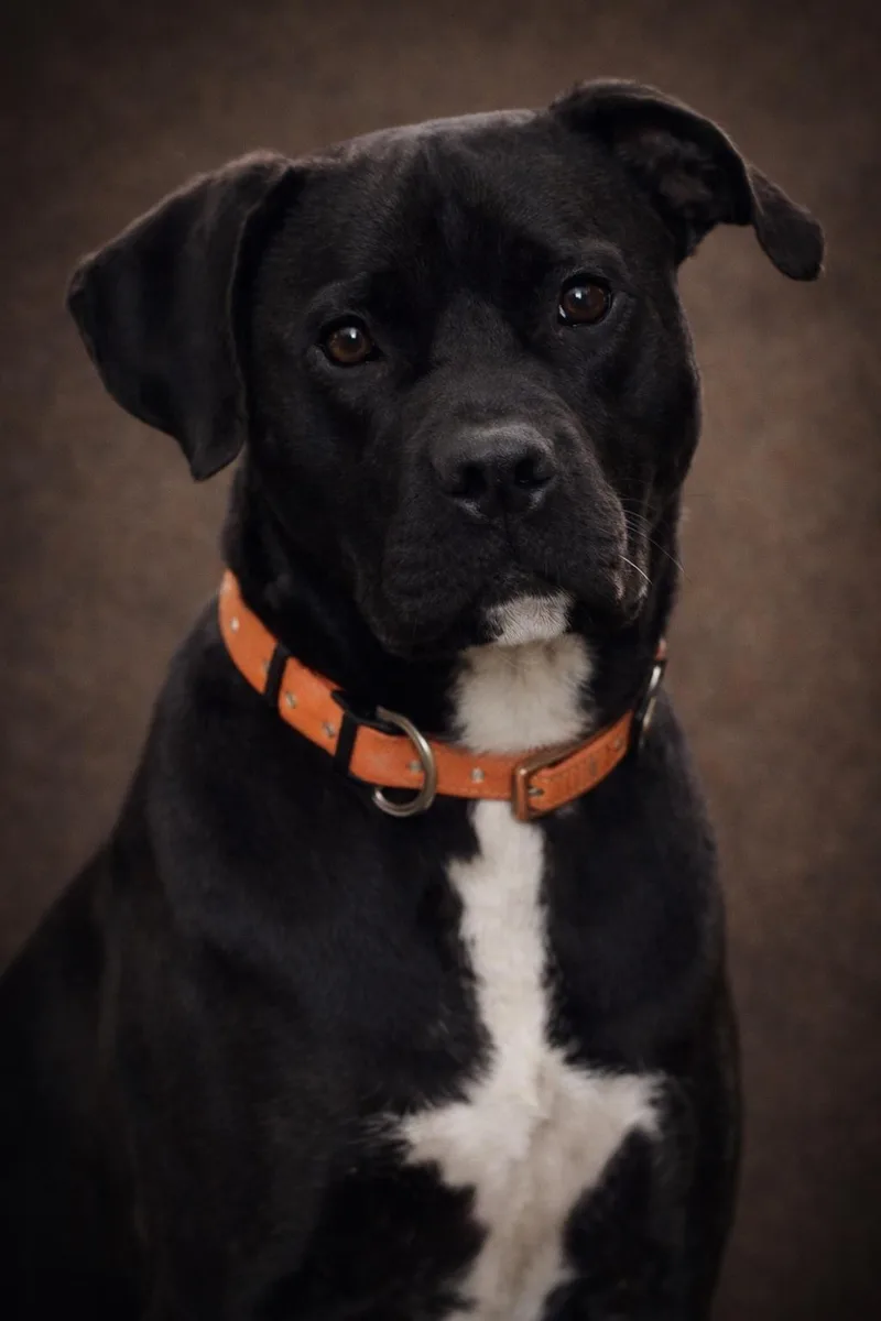 Babe Ruth thumbnail 4