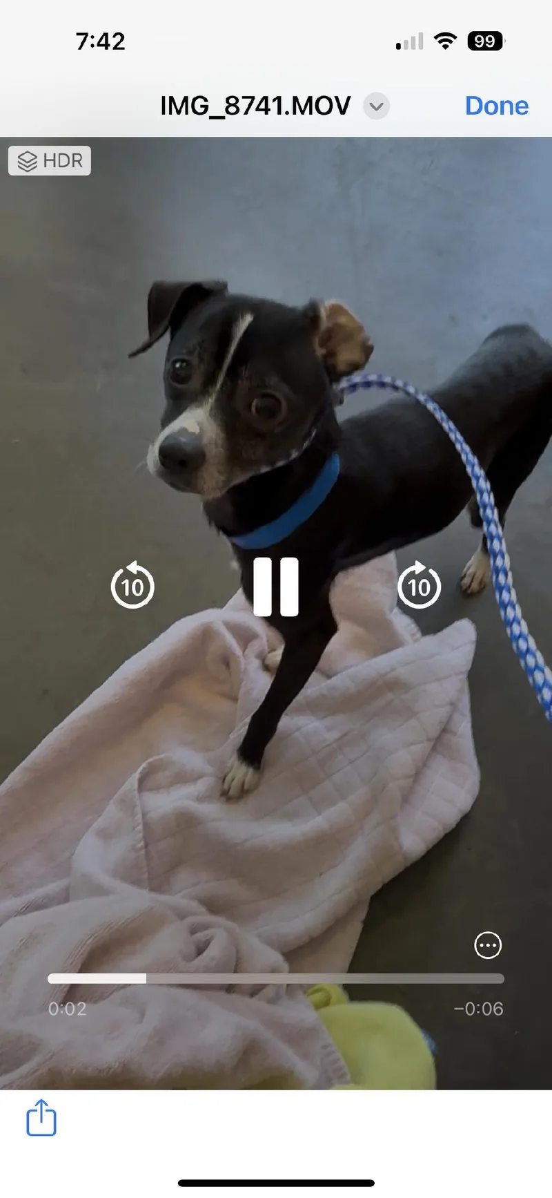 Lil Richie thumbnail 2