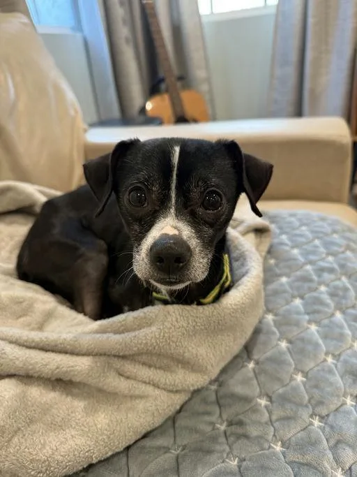 Lil Richie thumbnail 5