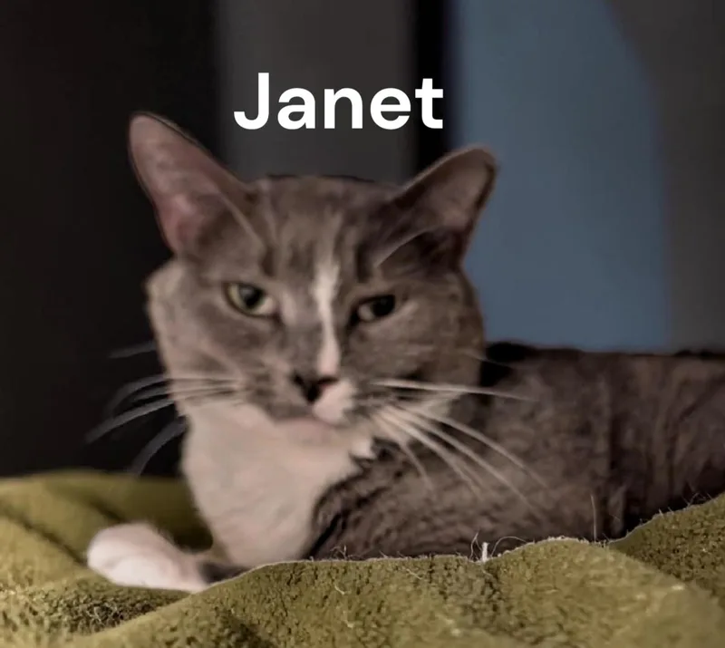 Janet