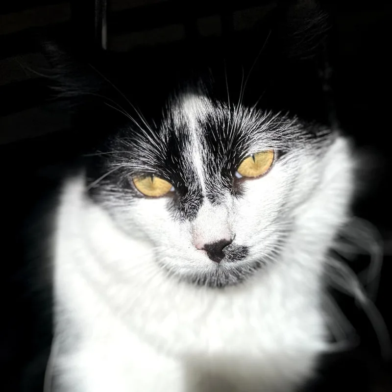 Winnie Harlow thumbnail 3