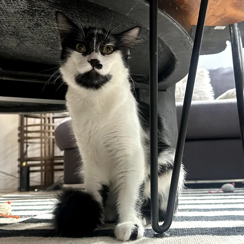 Winnie Harlow thumbnail 4