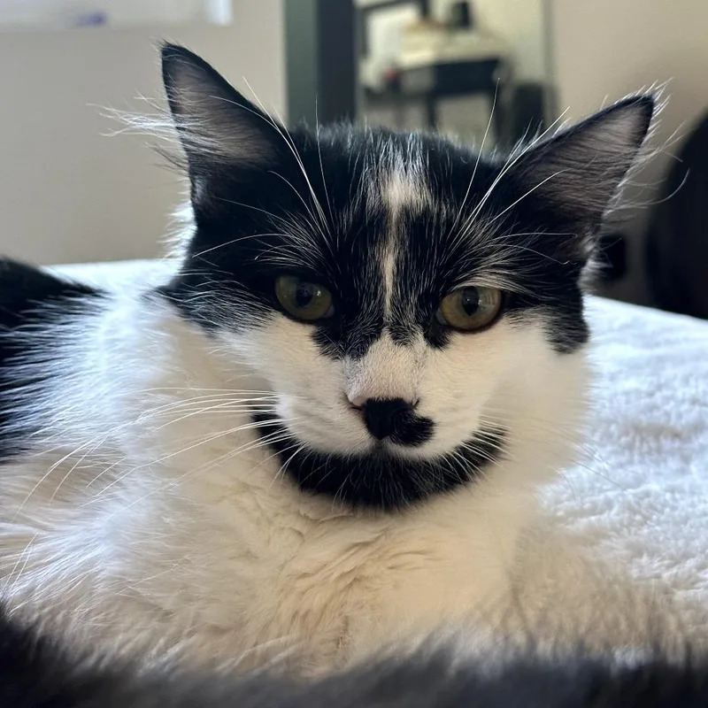 Winnie Harlow thumbnail 5