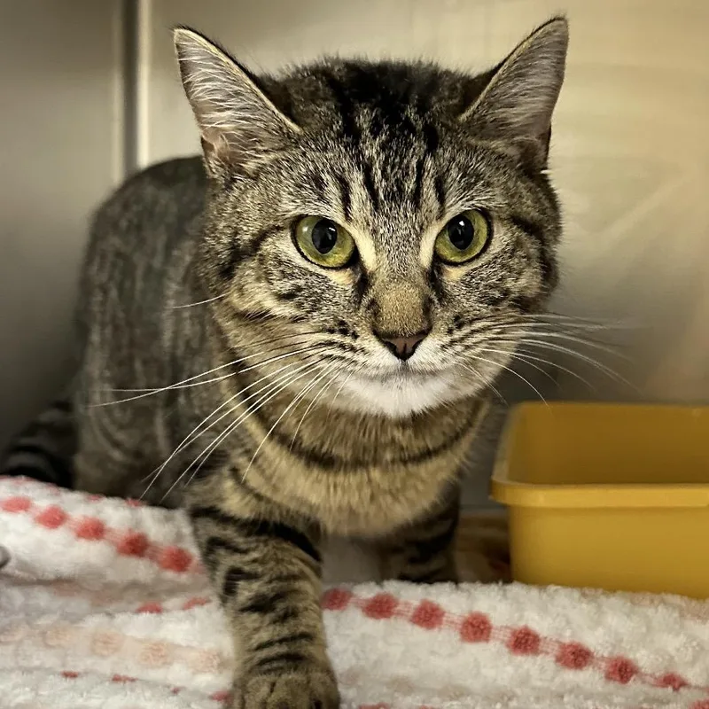 Esmerelda thumbnail 2