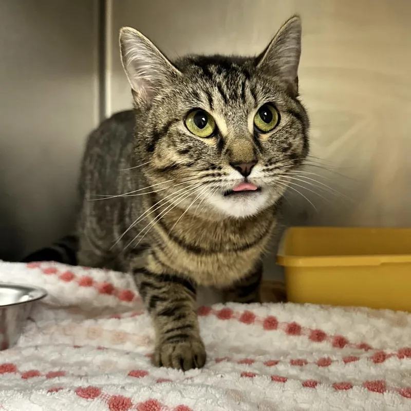 Esmerelda thumbnail 3