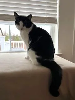 Baby Boy thumbnail 3