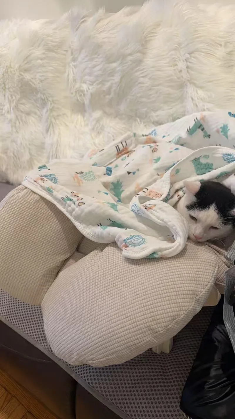 Yian Yian thumbnail 2