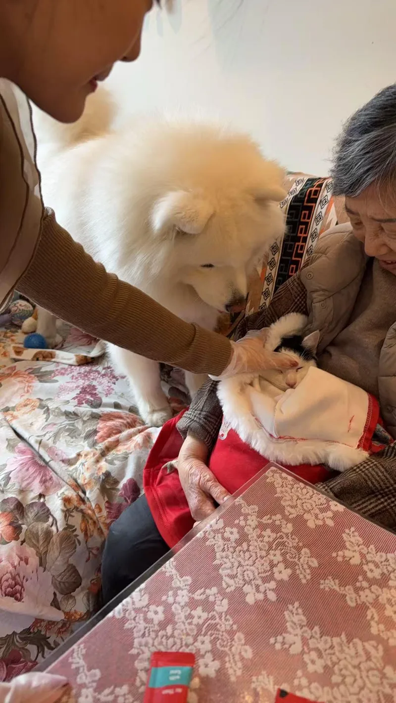 Yian Yian thumbnail 5