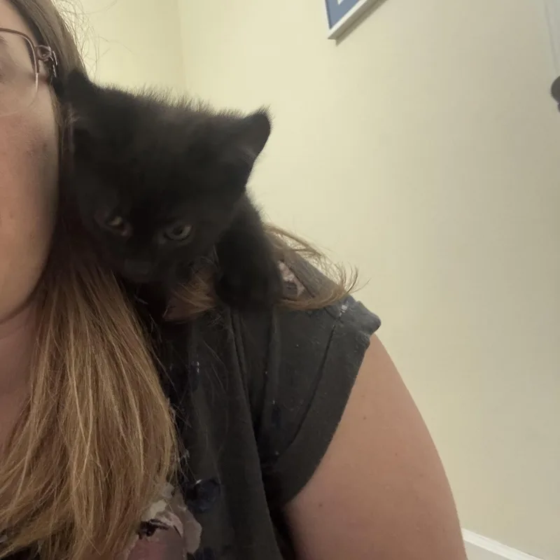 Murphy thumbnail 2