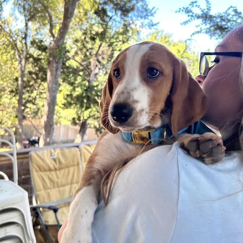 Churro thumbnail 3
