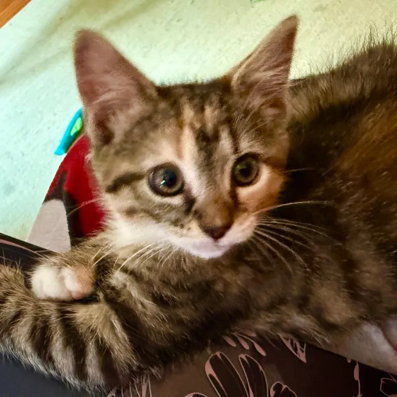 Nora thumbnail 5