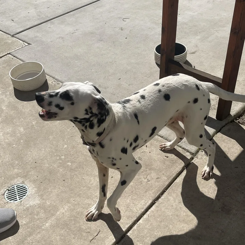 Lunastockton  Ca thumbnail 2