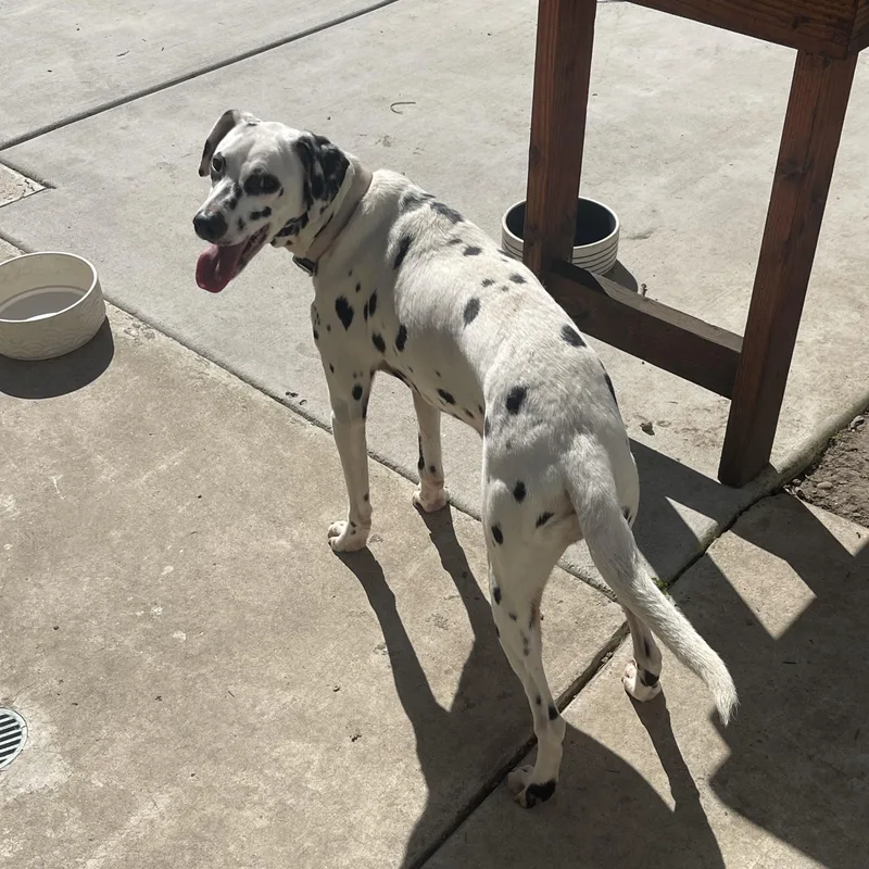 Lunastockton  Ca thumbnail 3