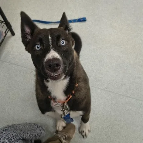 Beba % Off thumbnail 2